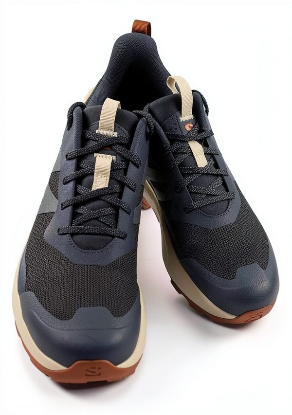 salomon ski