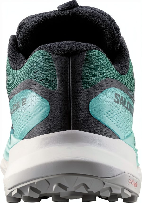 salomon abstract