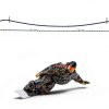 Salomon Unisex Gear Balanced Flexibility Lightweight Build-5
