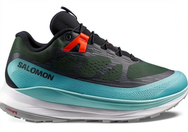 salomon snowboards