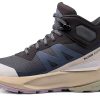 salomon abstract
