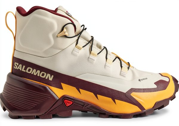 salomon snowboards