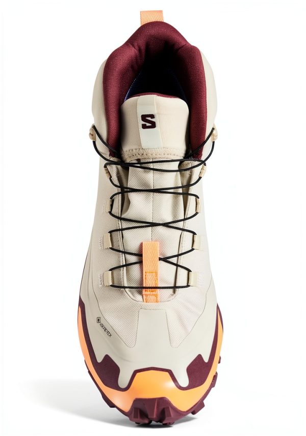 salomon xt6