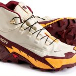 salomon xa pro 3d
