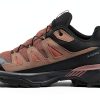 Salomon Women's Hiking Shoes Advanced Chassis GORE‑TEX Cognac/Black-0
