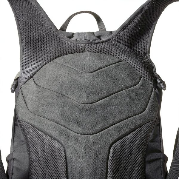 Salomon Trailblazer 30 Hiking Backpack 30L Black/Alloy 3D Padded Back-2